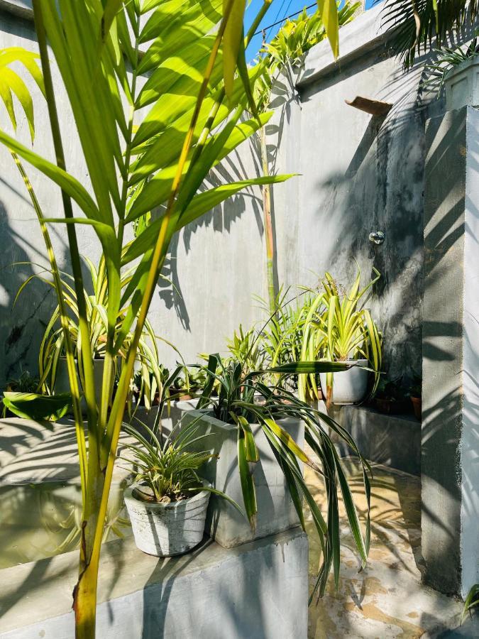 Bougain Villa Guesthouse Mirissa Buitenkant foto